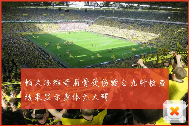 帕夫洛维奇眉骨受伤缝合九针检查结果显示身体无大碍