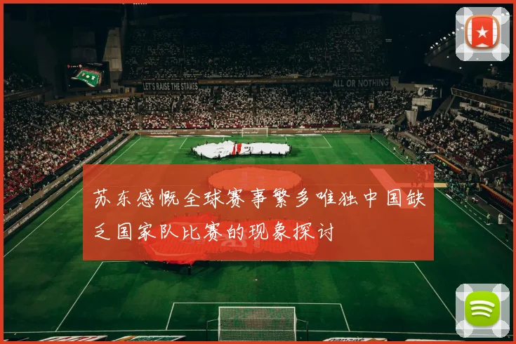 苏东感慨全球赛事繁多唯独中国缺乏国家队比赛的现象探讨